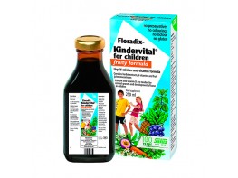 Imagen del producto Floradix kindervital 250ml